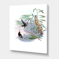 Ősi kolibri egy ágfestés vászon művészeti nyomtatása