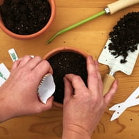 Komp -Morse SOW Easy Kale szibériai zöldségnövény magvak - Seed Gardening Full Sun