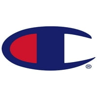 Champion Férfi Flatter Script Logo grafikus póló, 2xl méretű