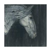 Védjegy Képzőművészet 'Midnight Horse' vászon művészet, Albena Hristova